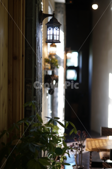 카페,전등,아웃포커스,구미시,나무,인테리어,실내디자인,interior design