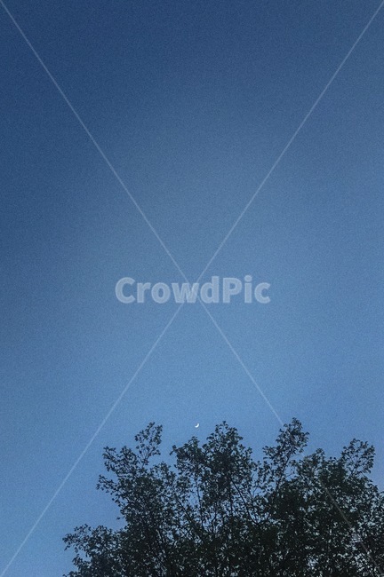 저녁,달,감성,야경,초승달,crescent,night,moon,mood,view,nightview,nightscape,파란,blue,sky,nightfall,dawn,새벽,새벽하늘,나무,잎,tree,leaves,leaf,streettrees,가로수,색채,색감,분위기,남색,navy,color,colorsense,colorsensitivity,feelingofcolor,landscape,scenary,newmoon,crescentmoon