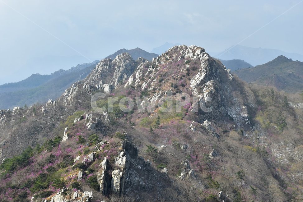 주작산,덕룡산,종주,진달래,풍경,기암,바위,비경,봄풍경,진달래꽃,강진,명산,산행,등산,마운틴,힐링,mountain,landscape,자연,natural,자연,풍경,nature,landscape,한국자연풍경,한국자연경관,korea nature landscape,outdoors,옥외,산,mountain range,산맥,slope,경사