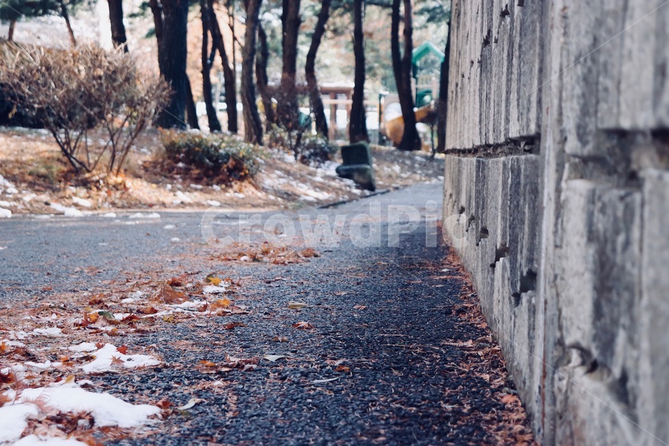 겨울,나뭇잎,낙엽,느낌,추위,가을,계절,fall,autumn,season,ground,바닥