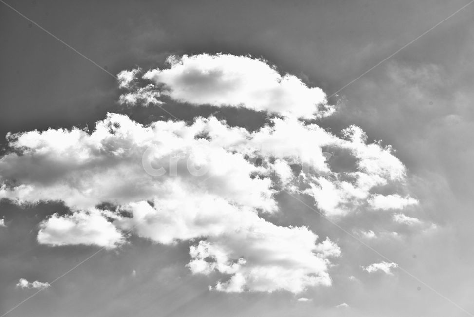 하늘,구름,흑백,맑은,포근,자연,풍경,nature,landscape,흑백,모노톤,monochrome,black and white,weather,날씨,cumulus,적운,outdoors,옥외,sky,cloud