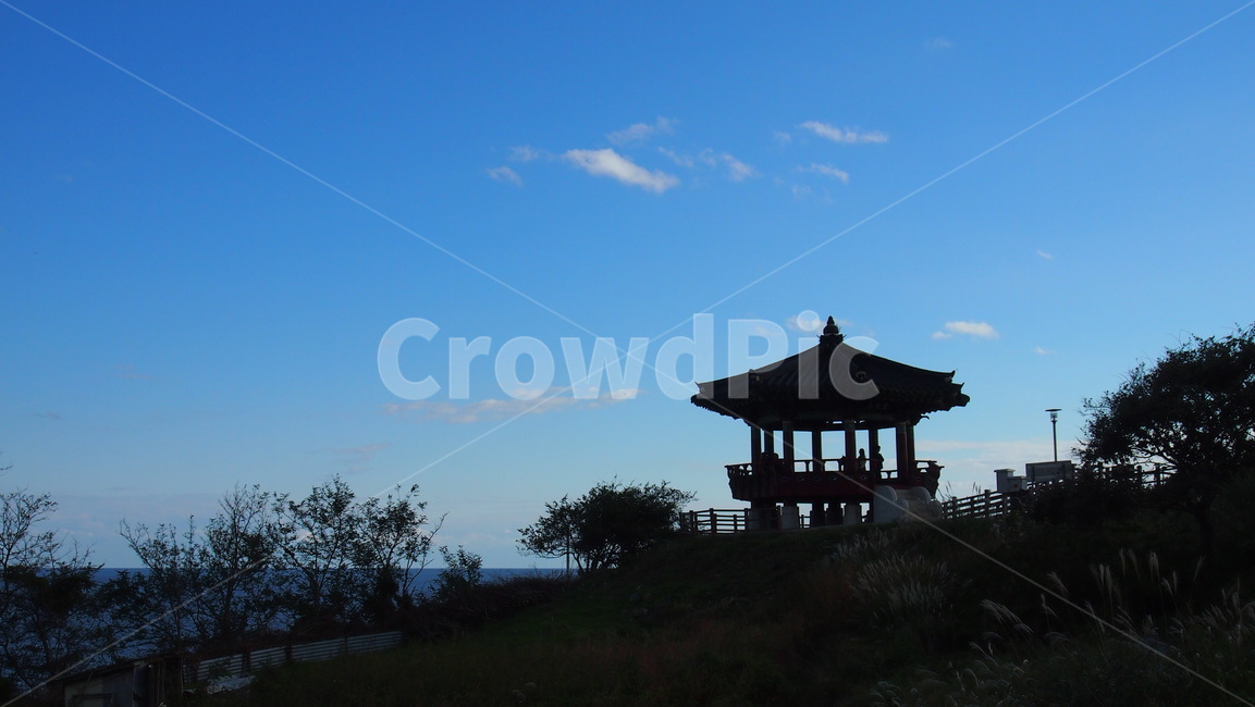 바다,sea,푸른바다,파란하늘,전망대,gazebo,나무