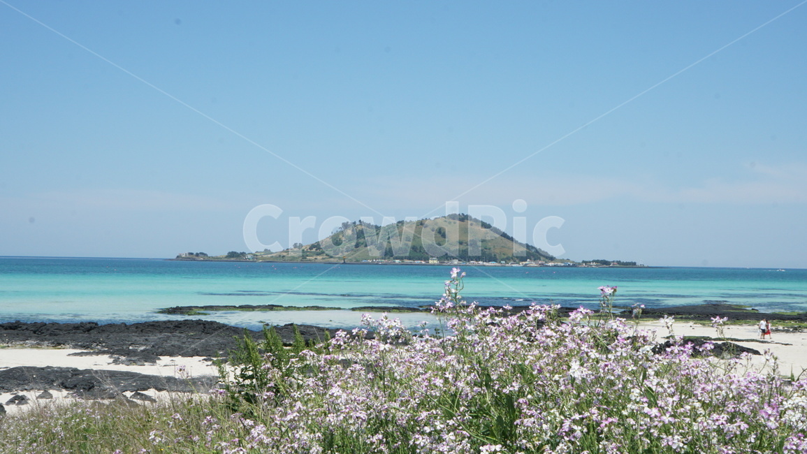 제주도,제주,제주바다,바다,여름,해변,바다,beach,sea,제주도,jeju,jeju island,outdoors,옥외,land,땅,nature,자연,water,물,shoreline,해안선,ocean,대양,coast,연안