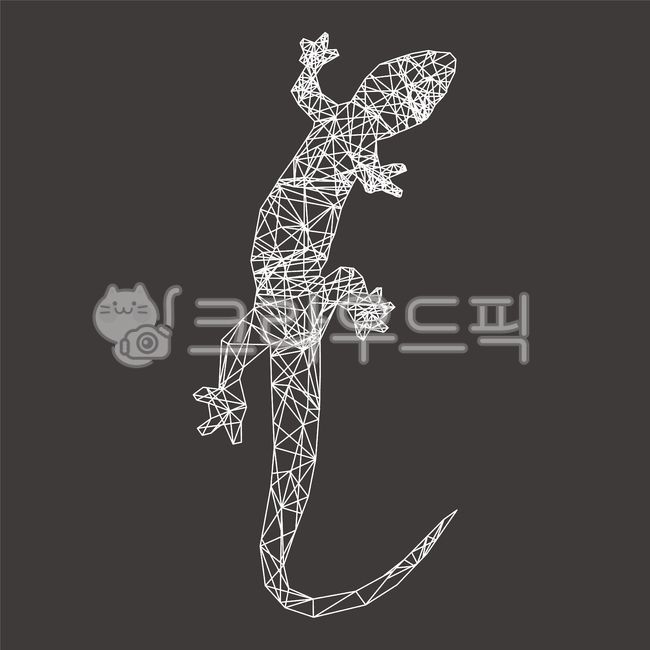 도마뱀,별자리,기하학,기하학무늬,lizard,리자드,뱀,카멜레온,파충류,개코,도롱뇽,개구리