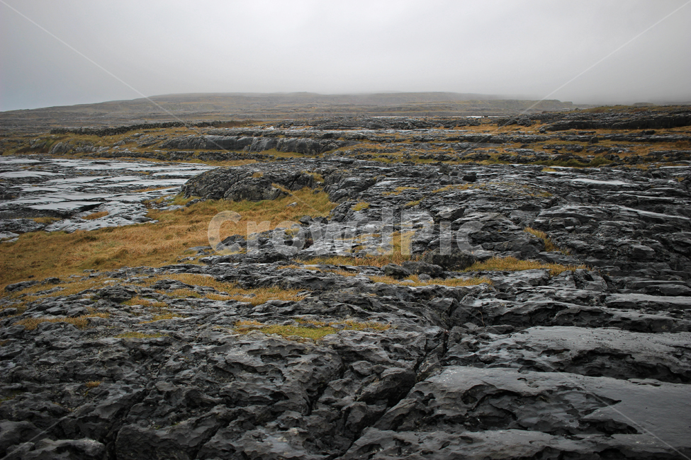 자연,암석,검은,거친,돌,바위,풀,해안,지형,황량한,안개,nature,landscape,black,rock,자연,풍경,nature,landscape