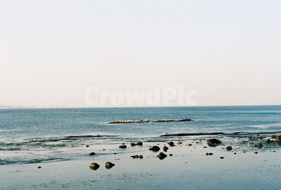 필름,필름카메라,아날로그,analog,filmcamera,film,감성,감성사진,바다,landscape,자연,풍경,nature,landscape,water,물,sea,ocean,대양,outdoors,옥외