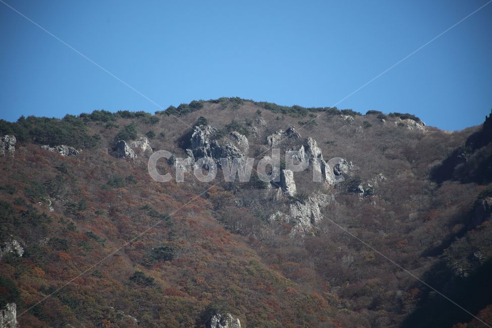 재약산,가을,바위,mountain,자연풍경,영남알프스,자연,풍경,nature,landscape,outdoors,옥외