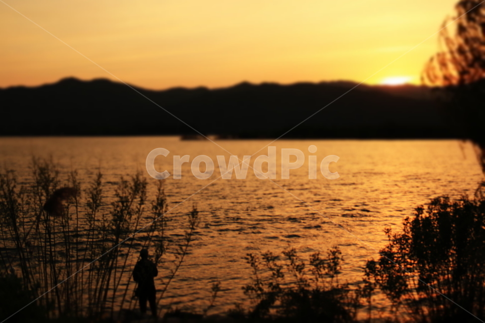 낚시,석양,노을,저녁,갈대,강,물,햇빛,그림자,투영,사람,낚시꾼,하늘,fishing,fishingman,shadow,sunset,sunshine,people,water,river