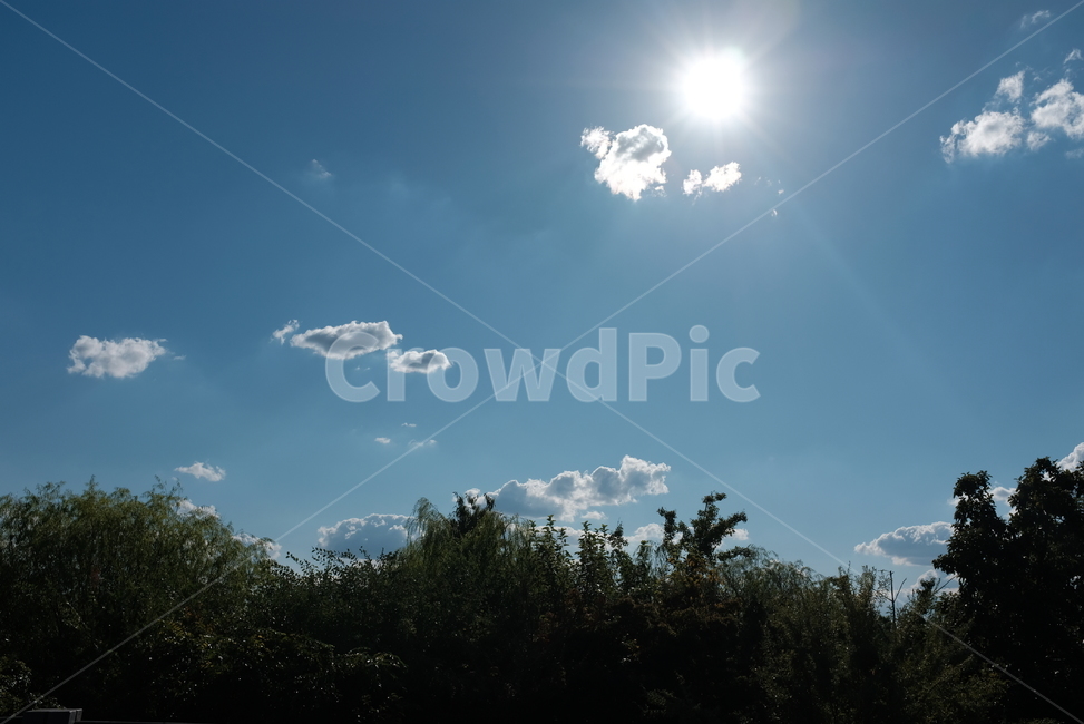 하늘,구름,해,나무,빛,여름,계절,summer,season,자연,풍경,nature,landscape,light,flare,플레어,sunlight,햇빛,outdoors,옥외