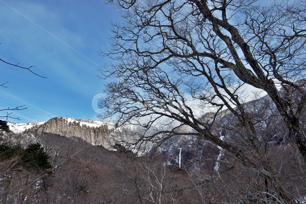 한라산,제주도,영실코스,겨울,영실기암,계절,겨울,계절,winter,season