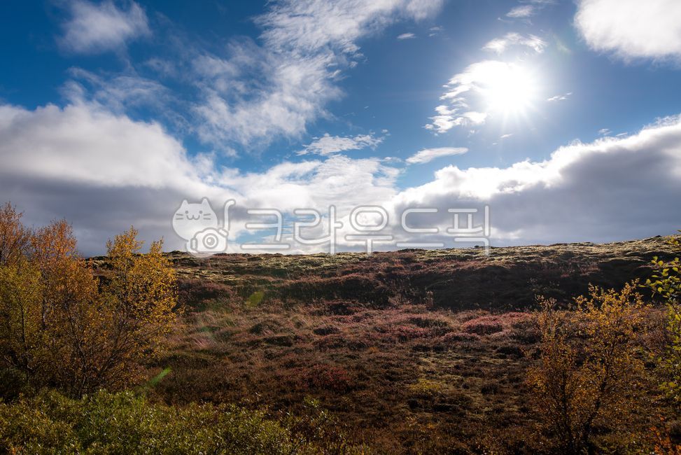 아이슬란드,iceland,유럽,europe,북유럽,northeurope,nature,해외,overea,풍경,landscape,가을,autumn,fall,씽벨리어,thingvellir,국립공원,nationalpark,outdoors,옥외