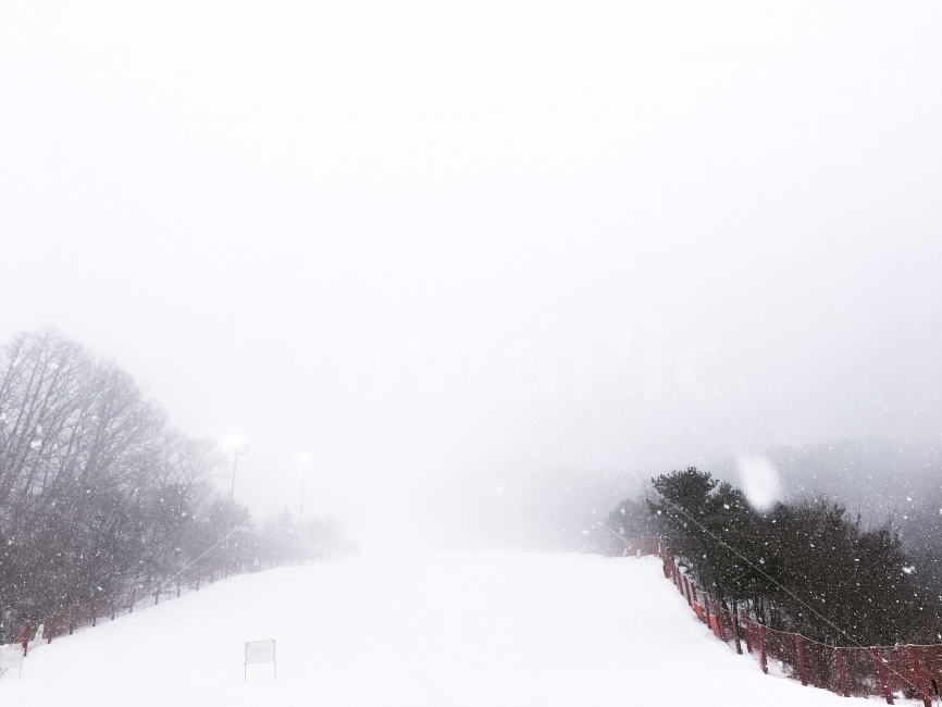 snowboarding,skiing,snow scene,heavy snow,snow,winter,Ski resort,slope,winter scenery,snowy day,trip to Gangwondo