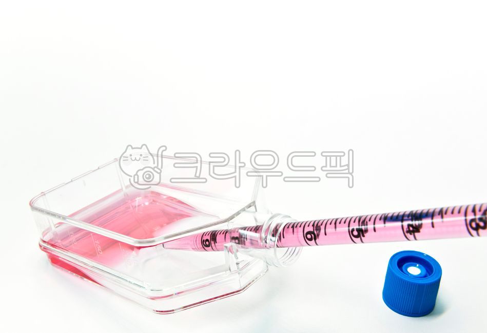tflask,pipette,mammaliancells,cells,experiment,vitro,animal,attachment,adherent,bio,biotechnology,cellculture,culturing,embryonic,stemcell,줄기세포,동물세포,세포실험,cellexperiments,laboratory,lab,실험실,연구실,tissue,test,proliferation,subculture,계대배양,시험,테스트,조직,연구,연구자,실험자,실험,research,researcher,pipetting,lifescience,생명과학,생명공학,dishes,flask,플라스크,medical,virus,ventcap,sterile,멸균,의료,의학,plate,medium,배지,배양,incubation,human,사람,인간,cellline,세포주,carcinoma,종양,암세포,cancer,과학자,과학,science,seeding,성장,생장