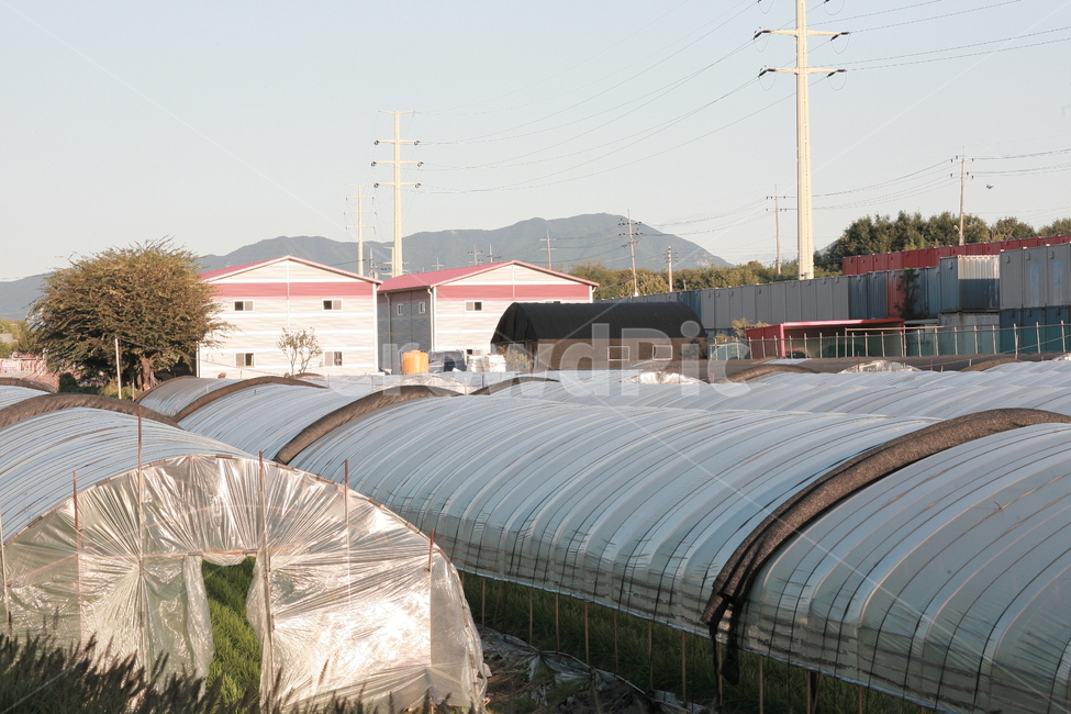 농촌,비닐하우스,지방,자연,나무,건물,옥외,outdoors,countryside,nature,building,rural,시골,마을,풍경,landscape,country,rural,town