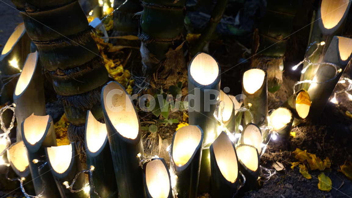빛,light,대나무,bamboo,장식품