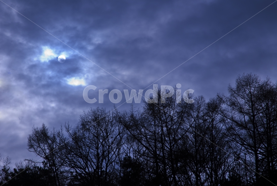 하늘,구름,나무,실루엣,파랑,sky,cloud,tree,silhouette,blue,자연,풍경,nature,landscape,식물,plants,나무,trees,wood,outdoors,옥외