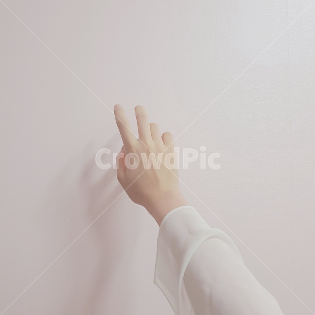 손,hand,손가락,finger,여자손,사람,인물,인간,human,person,신체일부,몸,body