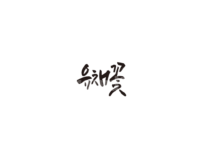 유채꽃,유채,제주도,꽃,캘리,캘리그라피,캘리그라피,손글씨,calligraphy