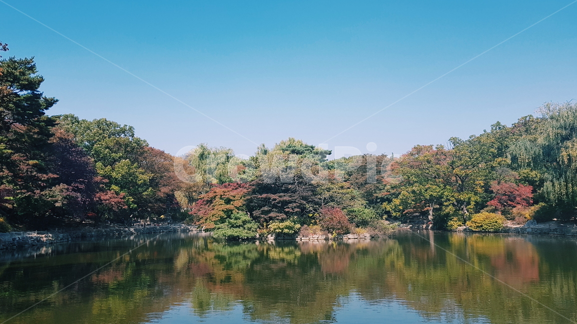호수,가을,단풍,lake,autumn,낙엽,물가