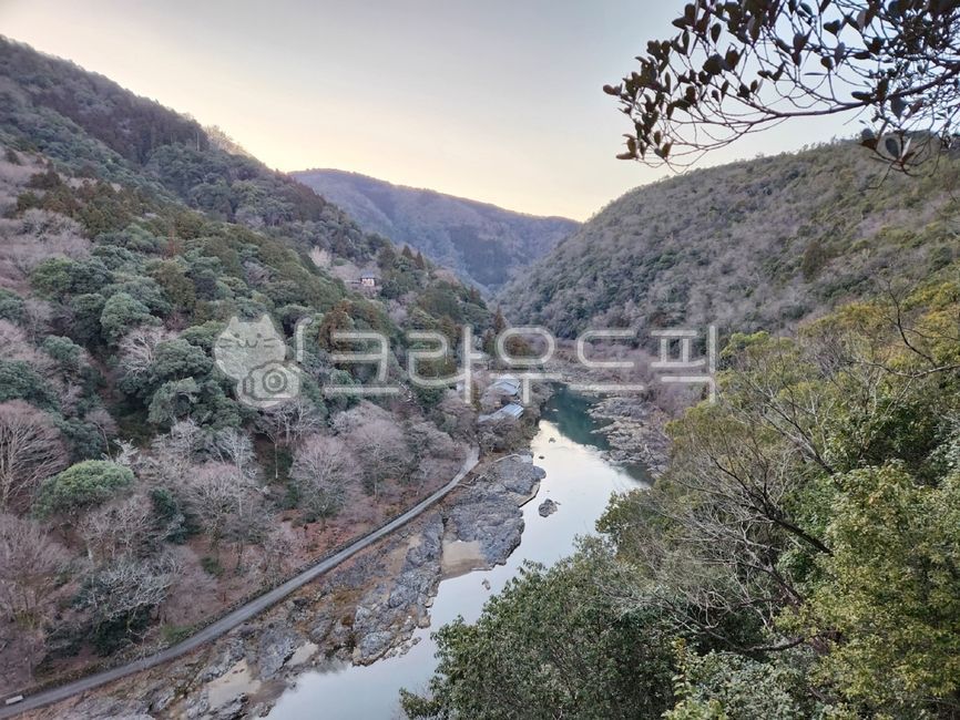 아라시야마,일본,교토,자연,아름다운,japan,kyoto,풍영