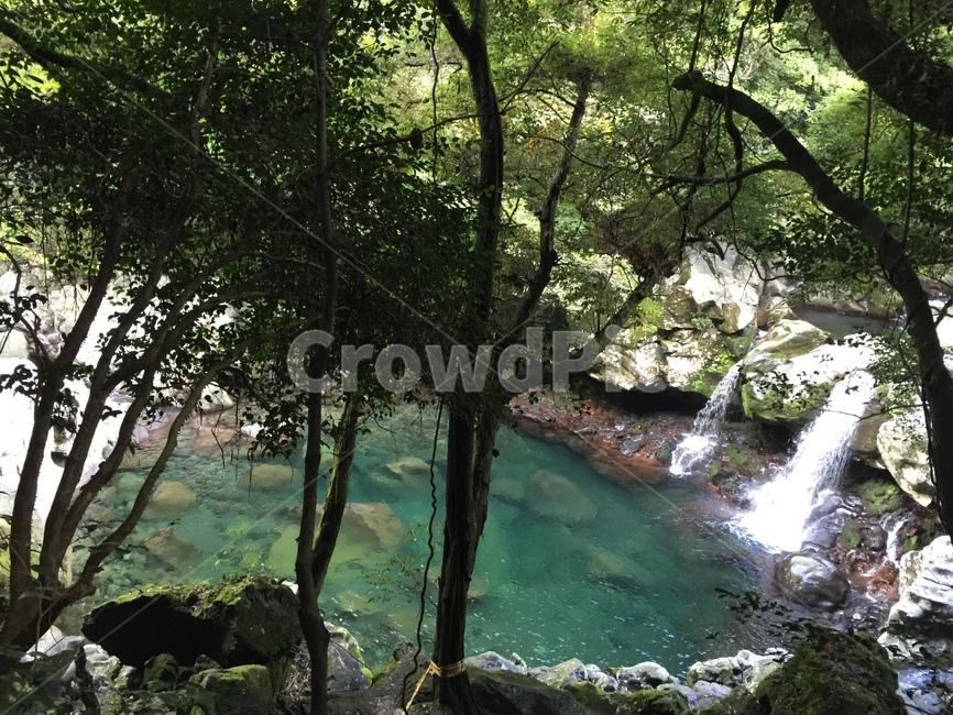 제주도,폭포,숲,자연,물,자연,풍경,nature,landscape,water,outdoors,옥외,river,강