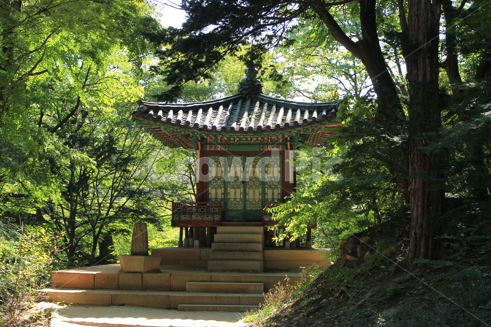 여름,정자,정원,경복궁,전통