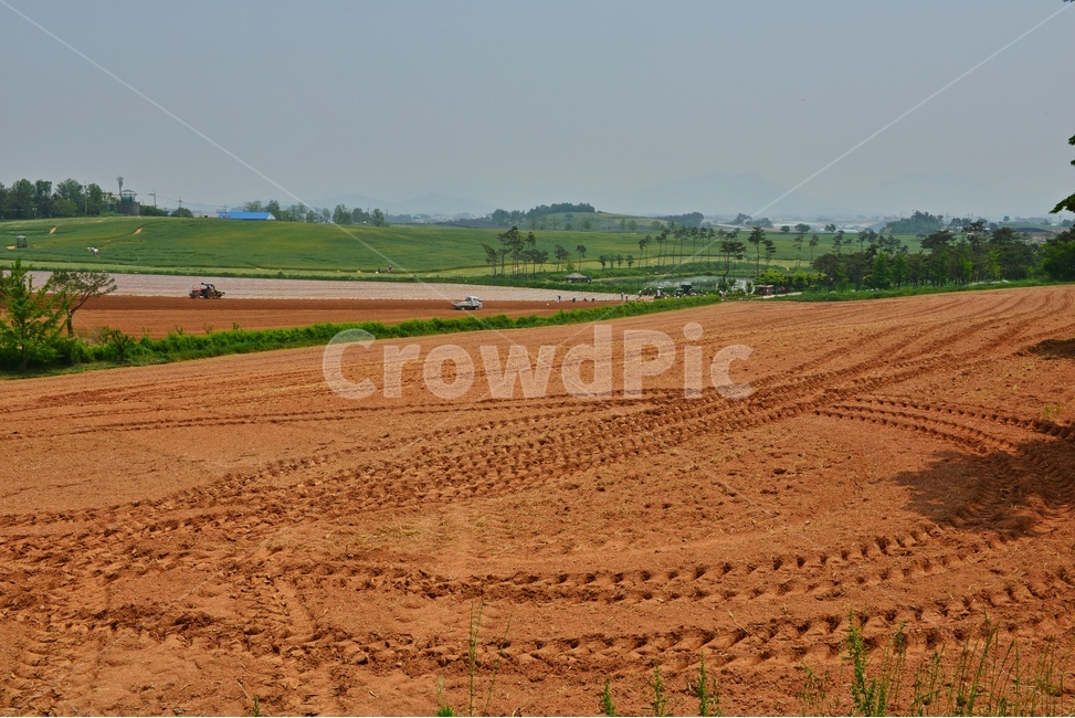 nature,자연,outdoors,옥외,soil,흙,ground,바닥,전북,고창,학원농장,농장,고구마밭,농사비닐,비닐,농업,농사,경작,영농,농경
