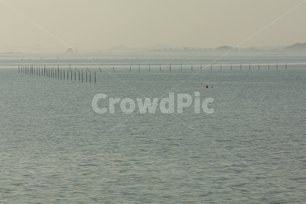 푸른,바다,하늘,갈매기landscape,beautiful,water,blue,view,sea,sky,outdoor