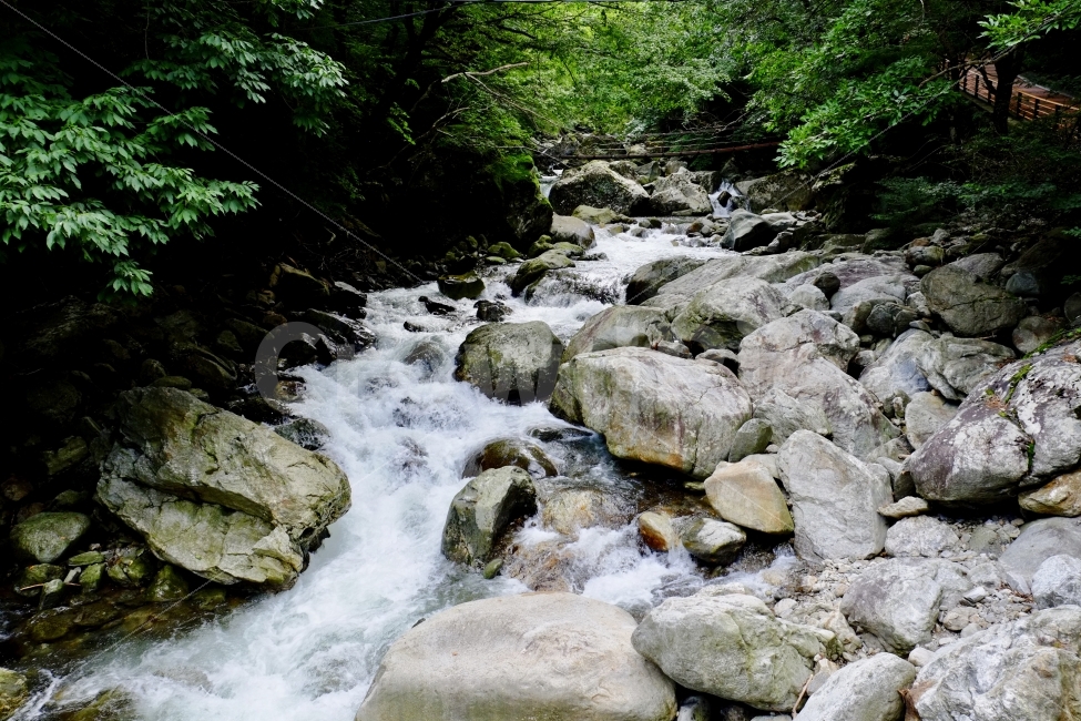 계곡,자연,산,환경,풍경,나무,여름,물,자연,풍경,nature,landscape,여름,계절,summer,season,water,outdoors,옥외,stream,흐름,creek,작은 만