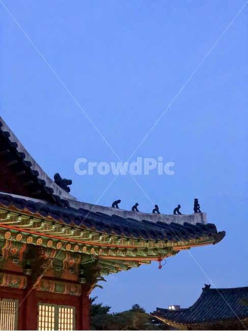 저녁,하늘,창경궁,기와,한옥,고궁