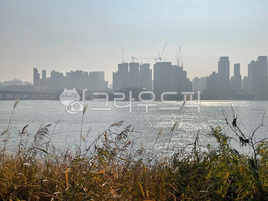 fine dust,city,nature,riverside,skyline,reed field,outdoors,waterfront,cityscape,autumn,walk