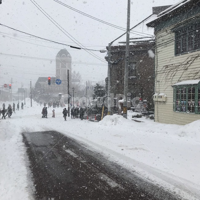일본,길,눈,풍경,건물,일본거리,삿포로,겨울,계절,winter,season,자연,풍경,nature,landscape,outdoors,옥외
