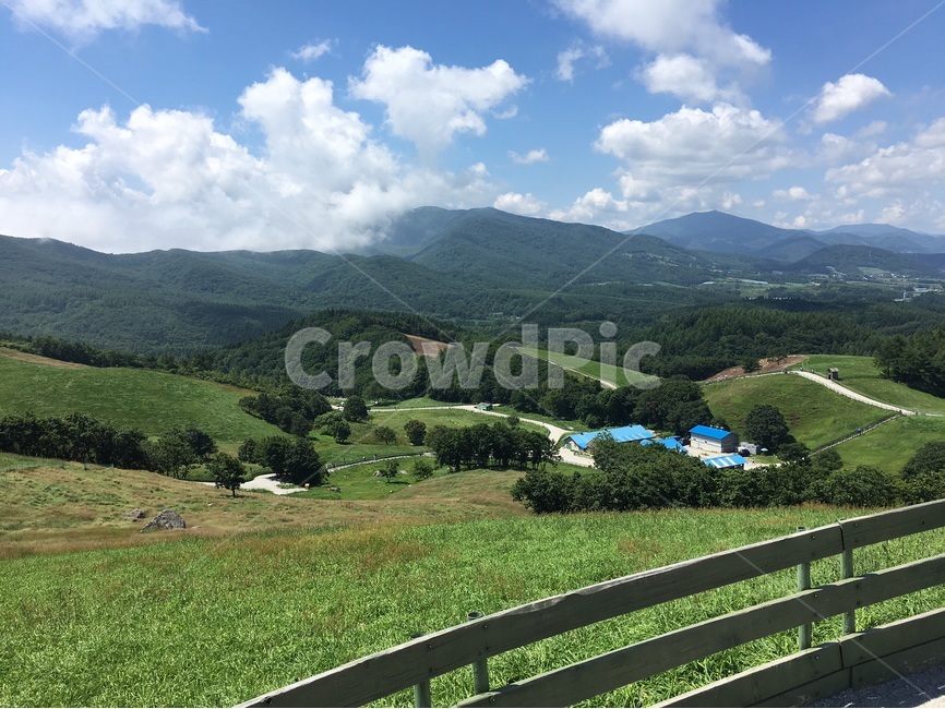 하늘,초원,구름,목장,양,자연,풍경,nature,landscape,한국자연풍경,한국자연경관,korea nature landscape,outdoors,옥외