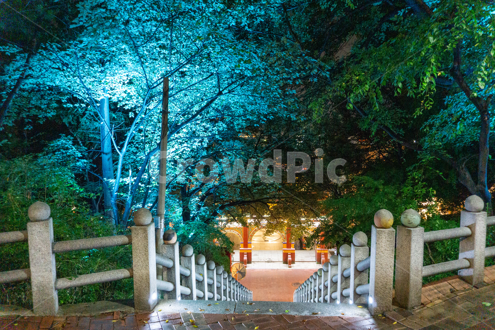 자유공원,인천,차이나타운,야경,led,night,밤,나무,자연,계단,난간,stairs,공원,산책,숲,handrail,정원