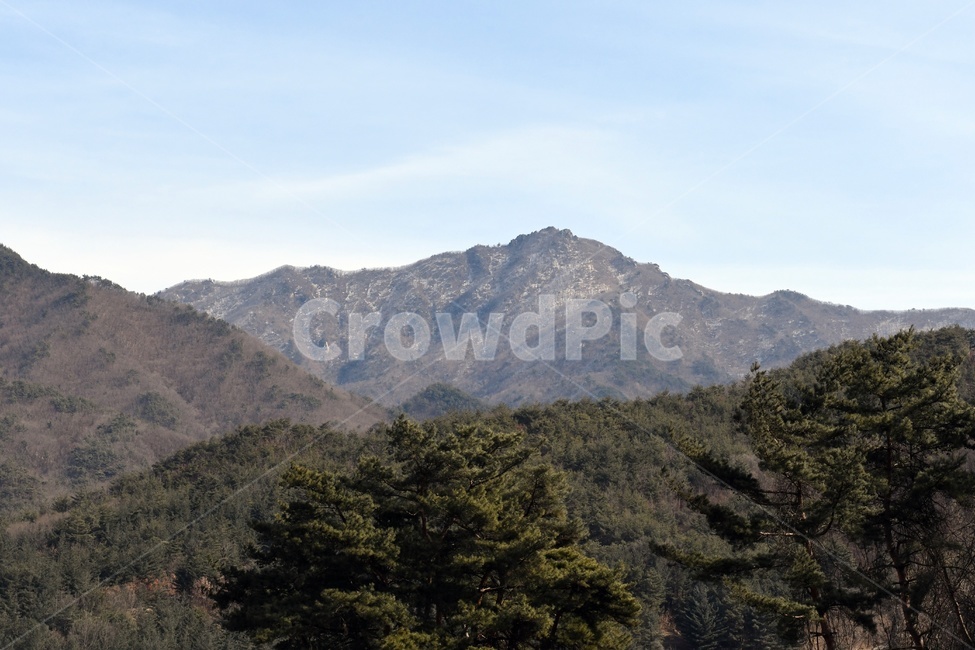 소백산,산,겨울산,겨울,도솔봉,소나무,풍경,자연,풍경,nature,landscape,한국자연풍경,한국자연경관,korea nature landscape,mountain range,산맥,mountain,outdoors,옥외
