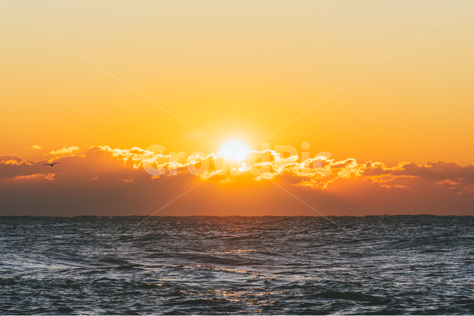 동해,동해바다,바다,sea,일출,sunrise,아침,새해,속초,햇빛,sunlight,자연,풍경,nature,landscape