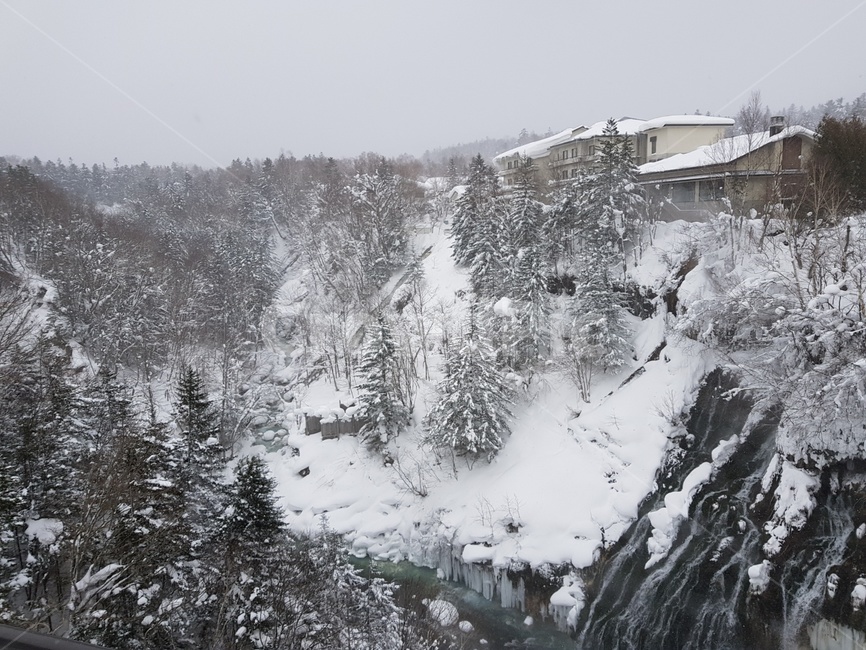눈,삿포로,비에이투어,크리스마스트리,훗카이도,겨울,겨울,계절,winter,season,자연,풍경,nature,landscape,해외,외국,세계,foreign,oversea,world,세계자연풍경,해외자연풍경,외국자연풍경,world nature landscape,outdoors,옥외