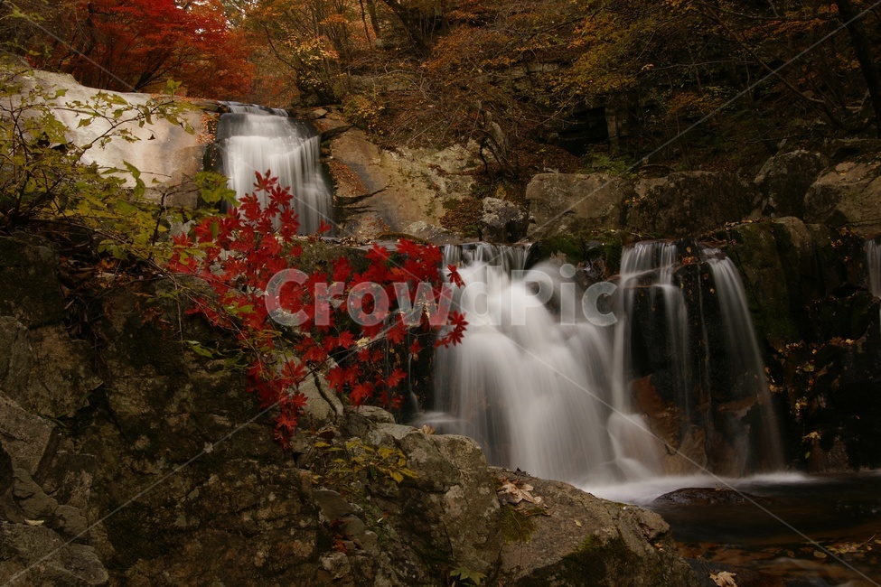 가을,단풍,폭포,계곡,풍경,가을,계절,fall,autumn,season,자연,풍경,nature,landscape,outdoors,옥외,water,물,river,강,waterfall