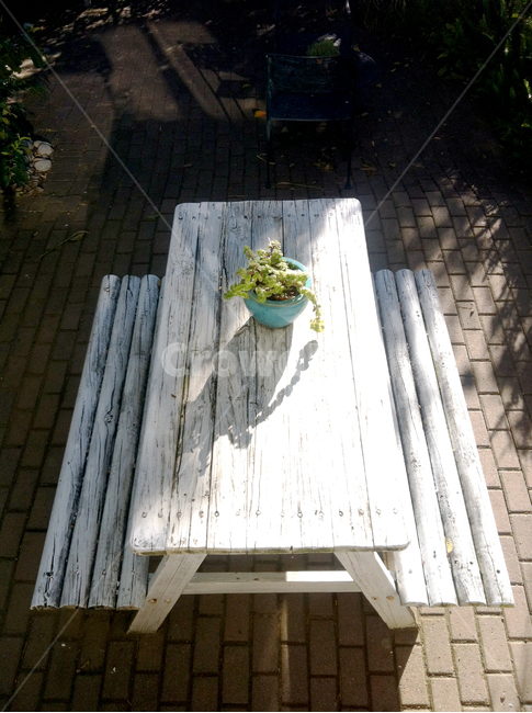 테이블,화분,정원,하우스,의자,house,garden,flower,chair,휴식,힐링,rest,relaxation,healing