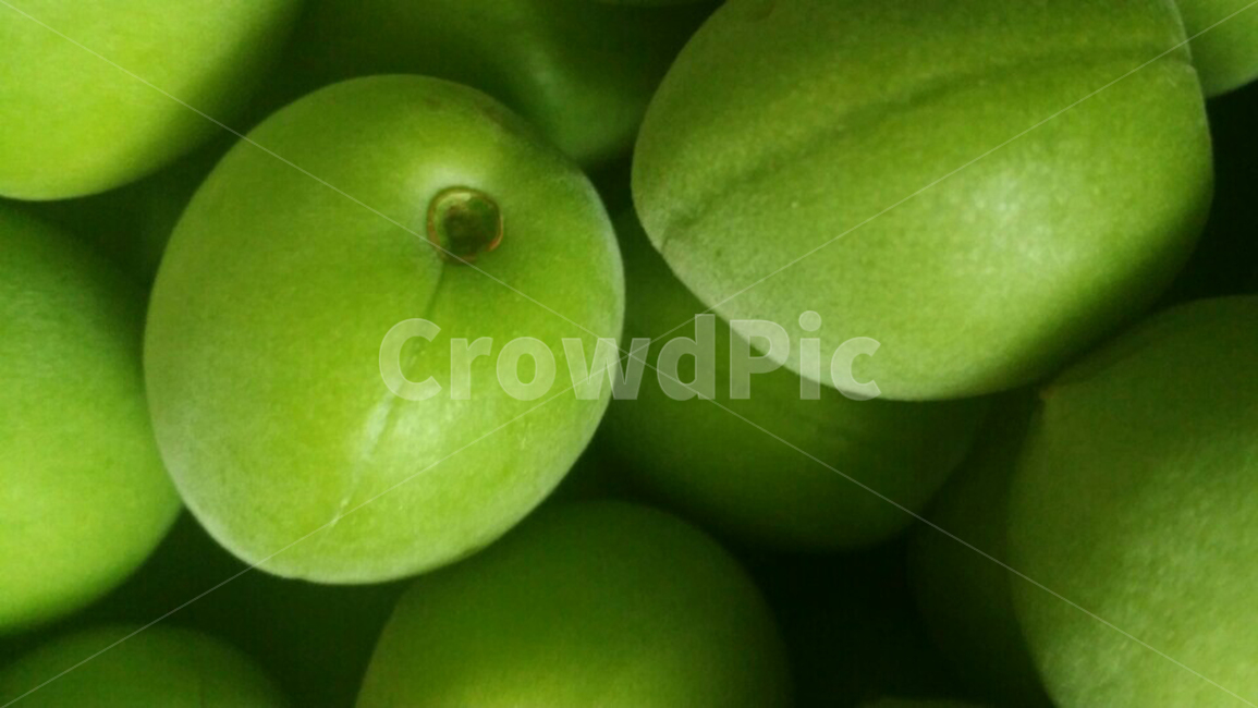 초록,여름,봄,매실,과일,과일,열매,fruit