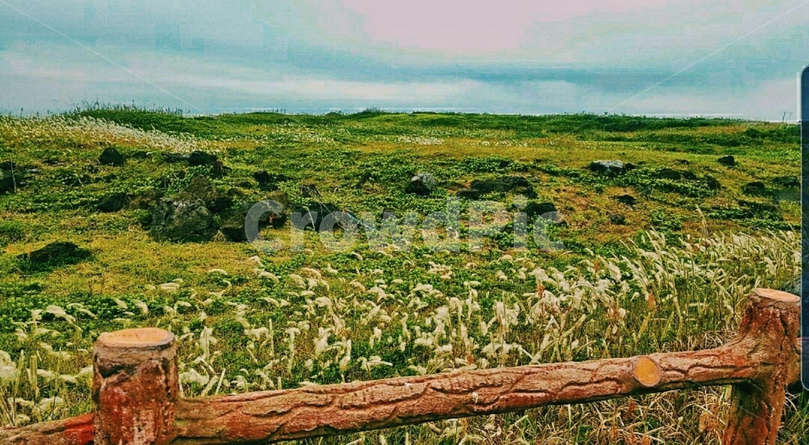 nature,자연,풍경,하늘,sky,park