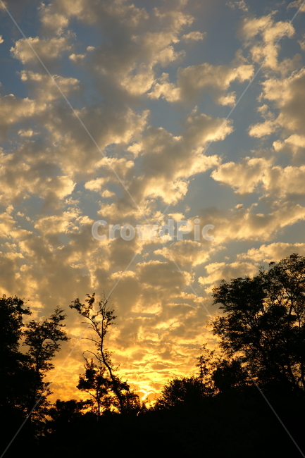 구름,cloud,nature,sunlight,자연,햇빛,outdoors,sky,하늘,옥외,자연,풍경,nature,landscape