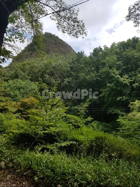 배경,산,마이산,진안,숲,자연,풍경,nature,landscape,tree,나무,plant,식물,vegetation,초목
