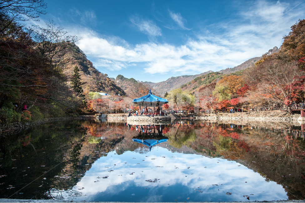 가을,내장산,우화정,풍경,단풍,가을,계절,fall,autumn,season,자연,풍경,nature,landscape,한국자연풍경,한국자연경관,korea nature landscape,outdoors,옥외