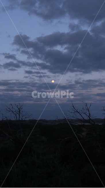 nature,자연,outdoors,옥외,하늘,sky,노을,sunset,달,moon,어둠