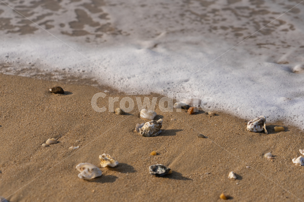 파도,바다,모래사장,조약돌,sea,자연,물