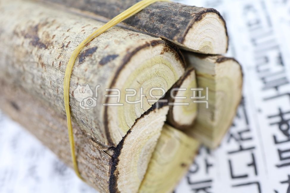 옻나무,옻,약재,약초,한약재,한방재료,한약재료