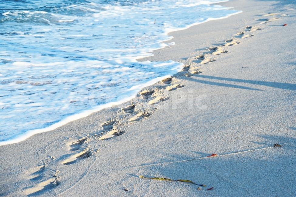 Doodle,sole,tide,play,shadow,nature,kid,joke,sand,healing,Beach,footprint,ocean,peace,sight,travel