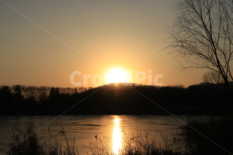 light,빛,플레어,nature,자연,sunlight,햇빛,물,일몰