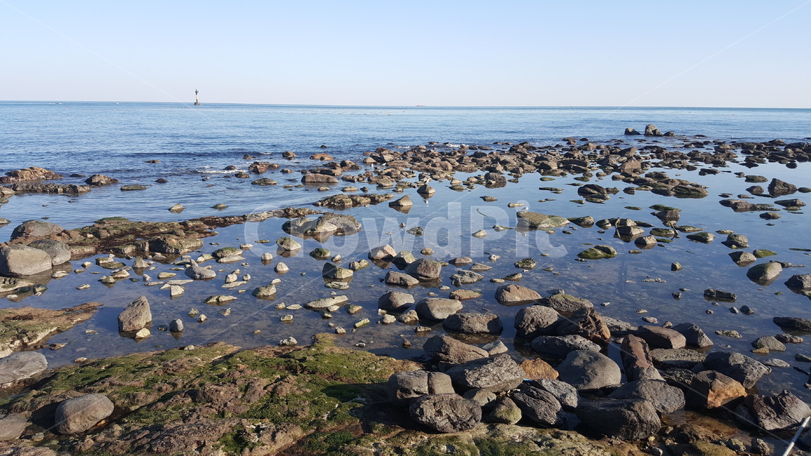 바다,부산,청사포,바위,풍경,자연,풍경,nature,landscape